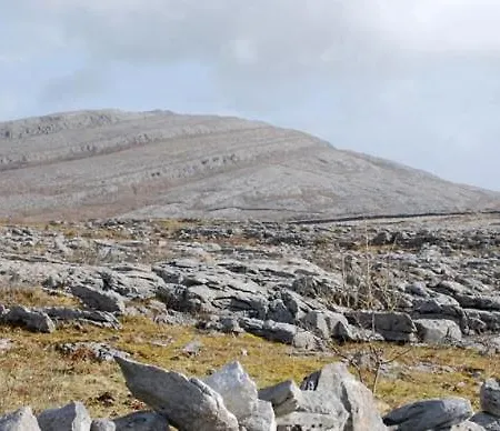 Roadside The Burren County Clare * Kilfenora