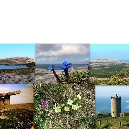 Roadside The Burren County Clare Сasa de vacaciones Kilfenora
